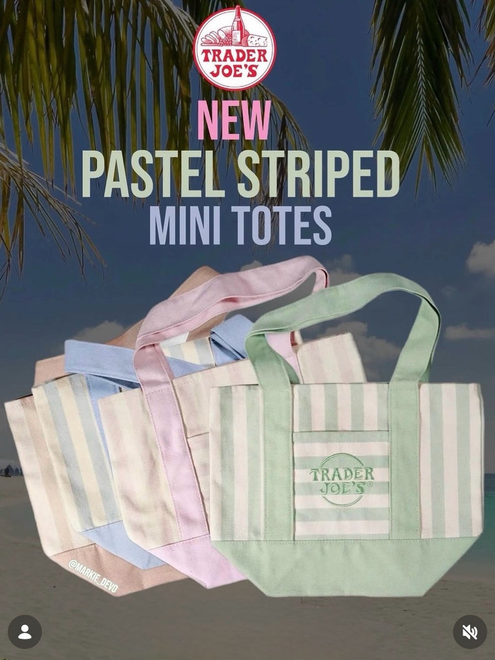 Trader Joe’s Mini Pastel Stripes Canvas Tote Bag Limited Edition Set Of 4
